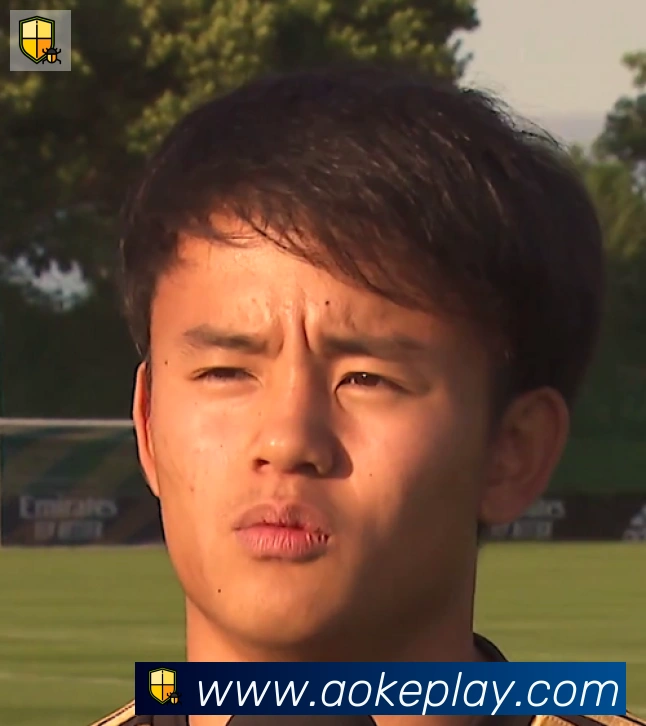 维尼修斯